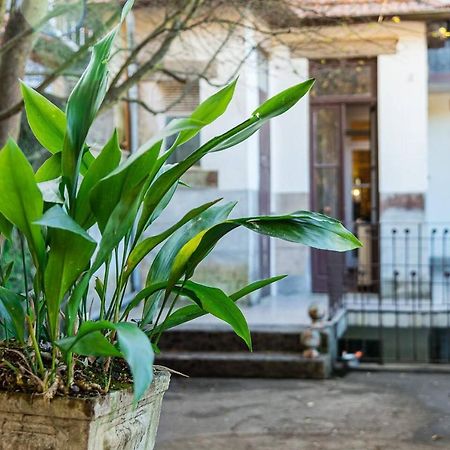 Loft Mola White By Burgo Apartments ポルト エクステリア 写真